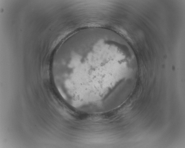 X0000075810299200610061738