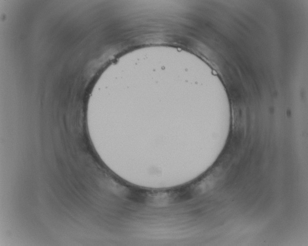 X0000075810301200610061738