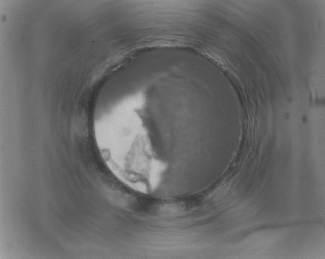 X0000075810303200610061738