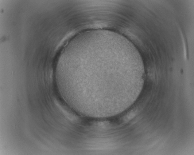 X0000075810304200610061738