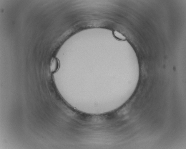 X0000075810305200610061738