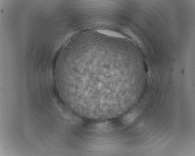 X0000075810306200610061738