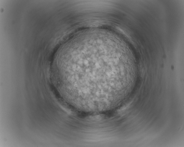 X0000075810307200610061738