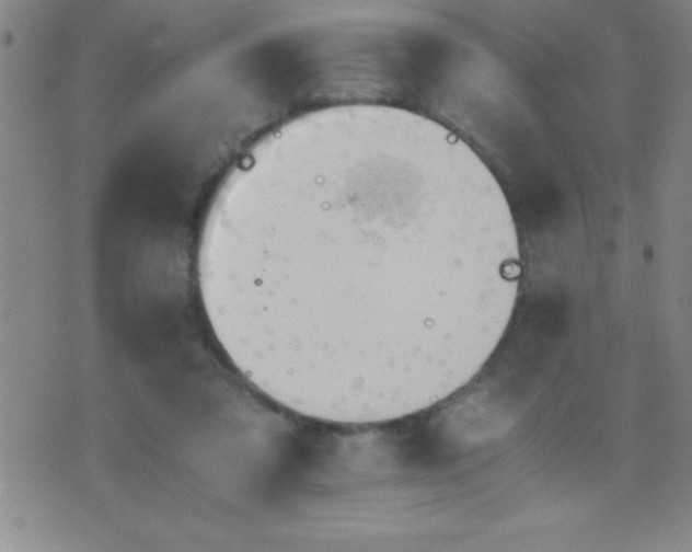 X0000075810309200610061738