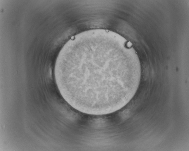 X0000075810310200610061738