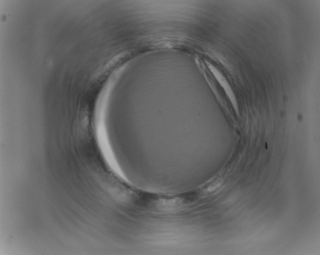 X0000075810314200610061738