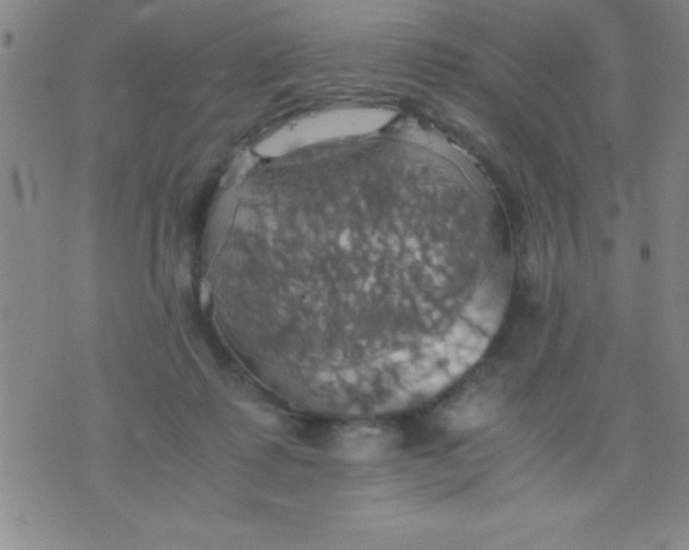 X0000075810315200610061738