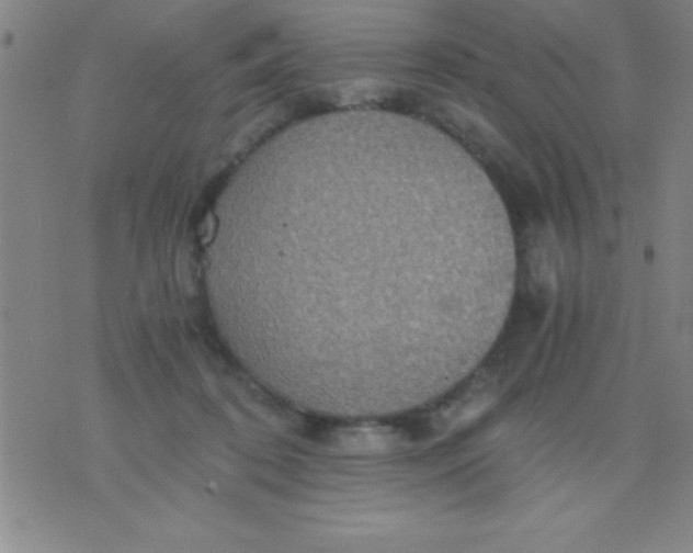 X0000075810316200610061738