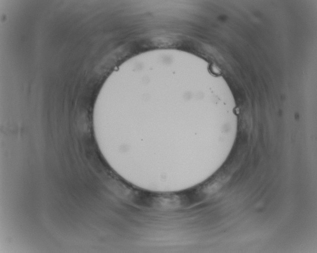 X0000075810317200610061738