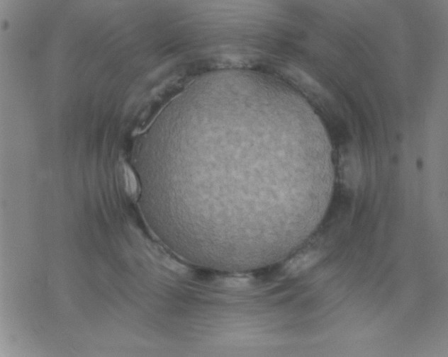 X0000075810318200610061738