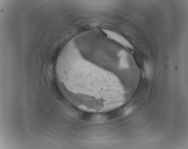 X0000075810319200610061738