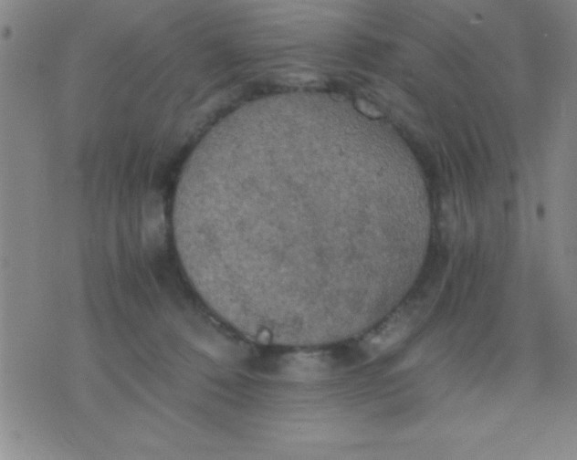 X0000075810320200610061738