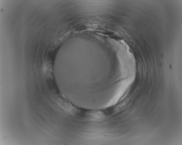 X0000075810322200610061738