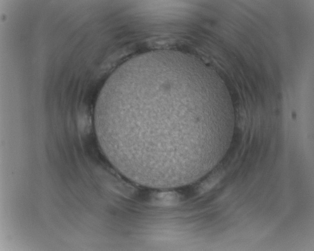 X0000075810324200610061738