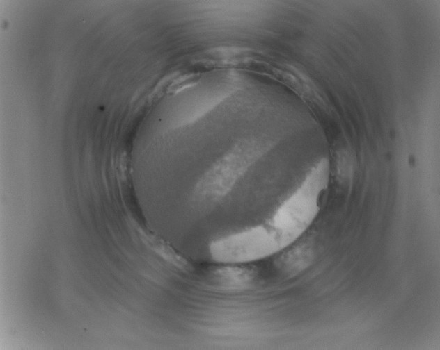 X0000075810326200610061738