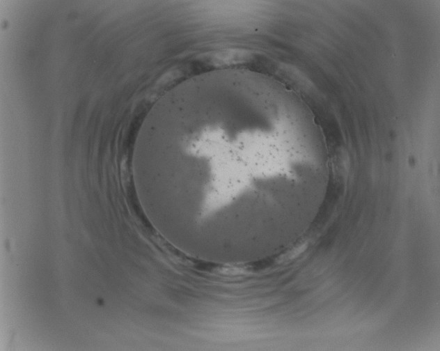 X0000075810327200610061738