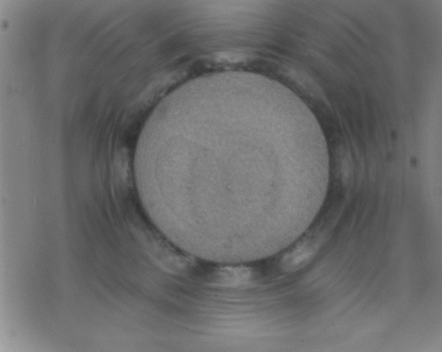 X0000075810328200610061738