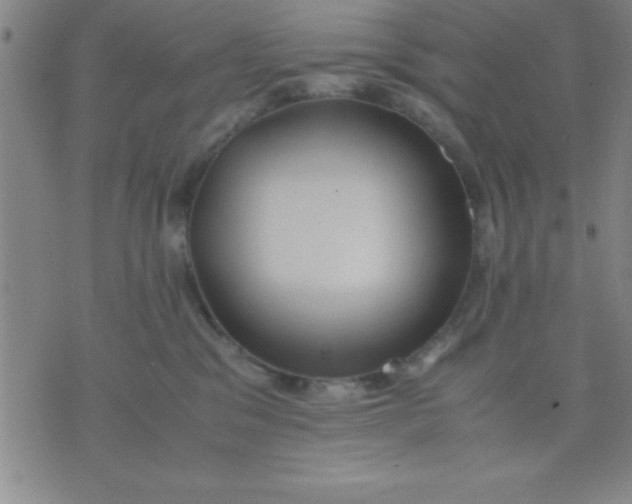 X0000075810329200610061738