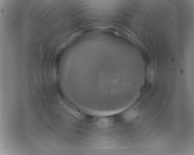 X0000075810330200610061738