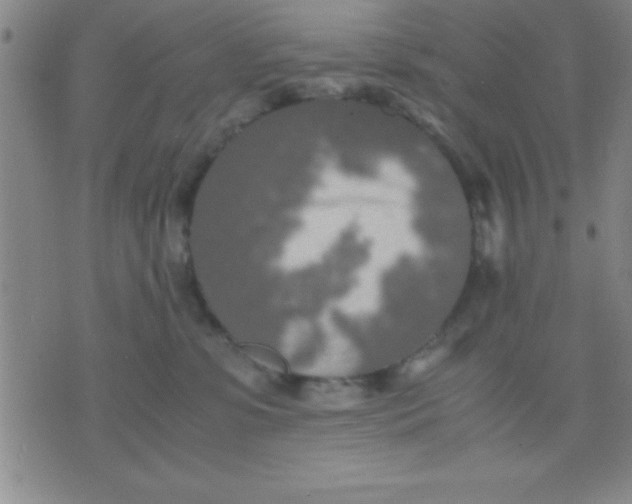 X0000075810331200610061738