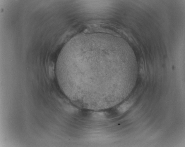 X0000075810332200610061738