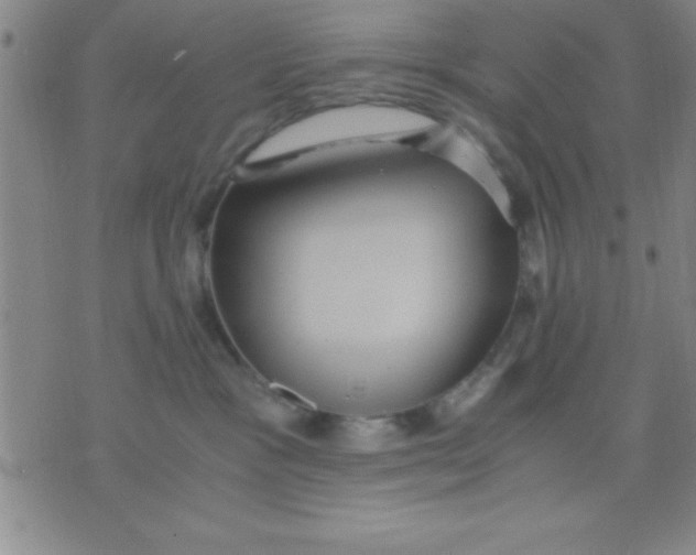 X0000075810333200610061738