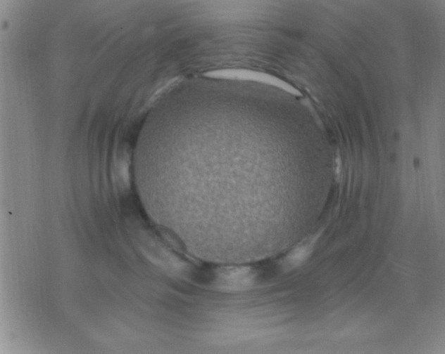 X0000075810334200610061738