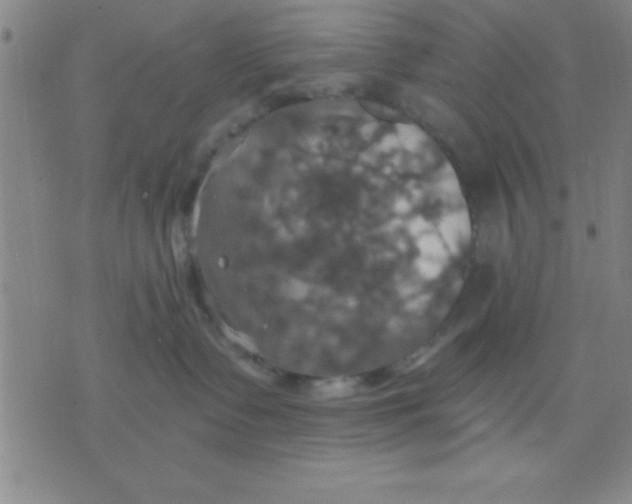 X0000075810335200610061738