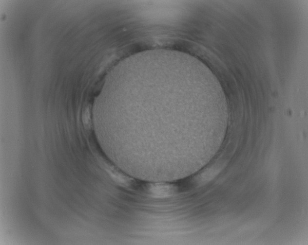 X0000075810336200610061738