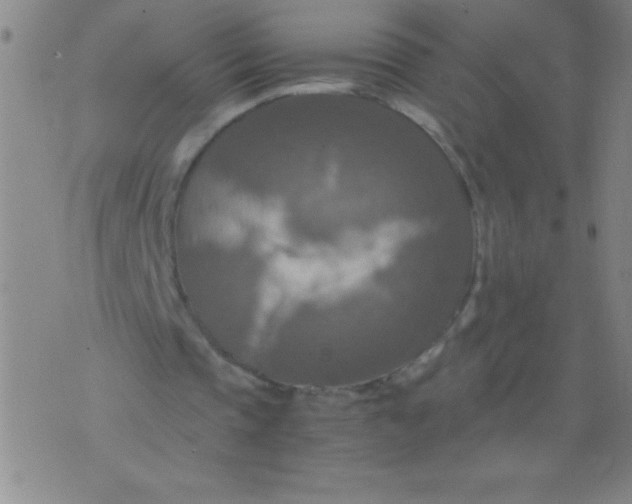 X0000075810337200610061737