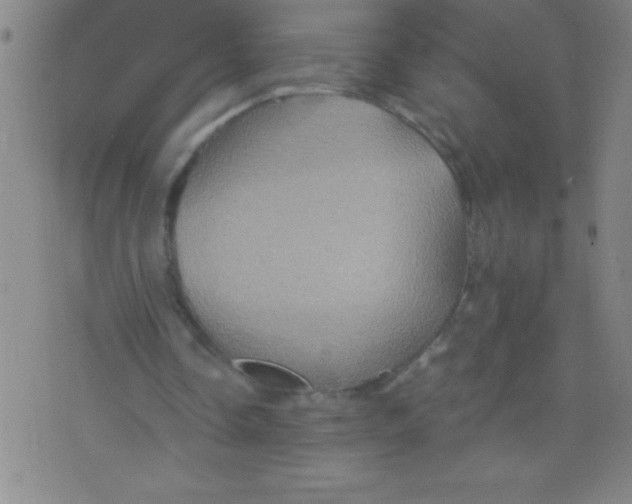 X0000075810338200610061737