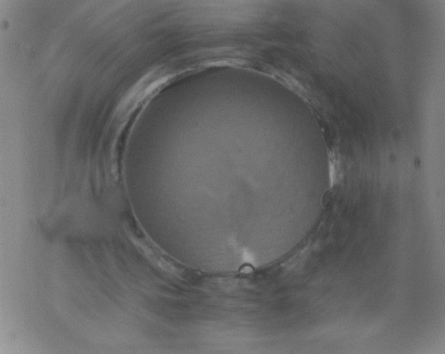 X0000075810339200610061737