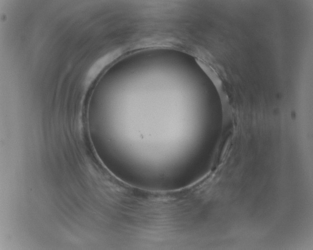 X0000075810340200610061737