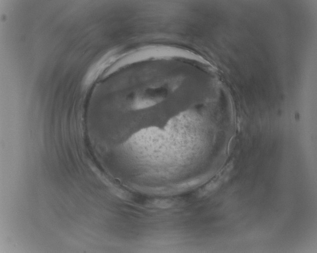 X0000075810341200610061737