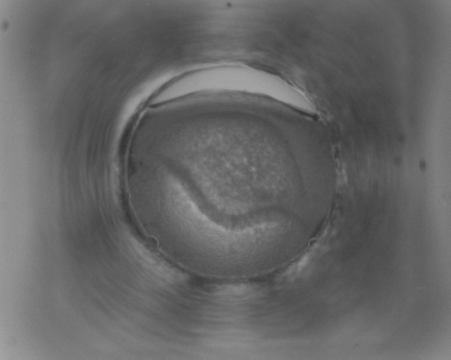 X0000075810342200610061737