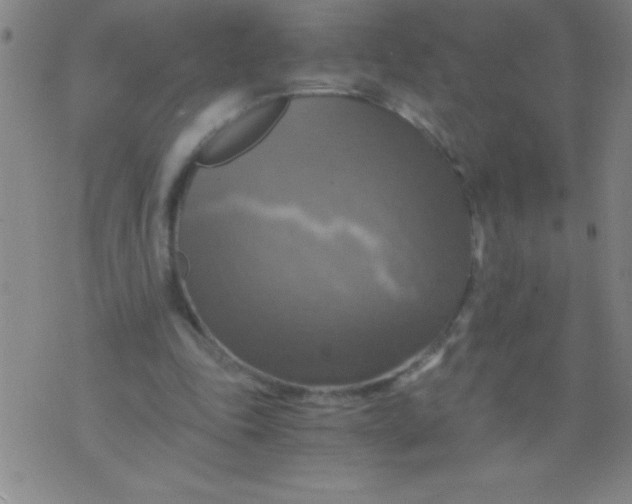 X0000075810343200610061737