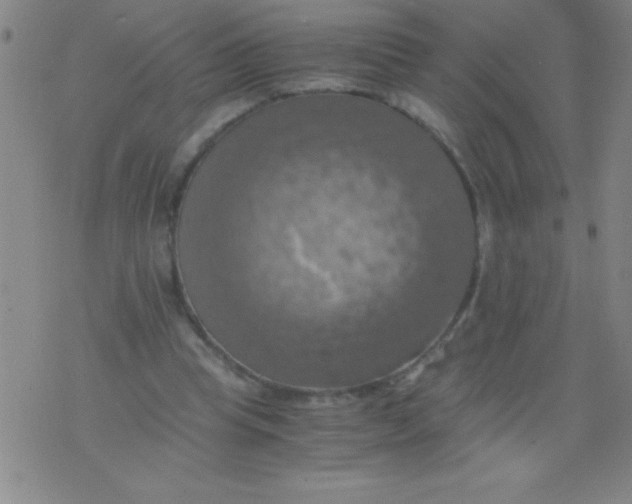 X0000075810345200610061737