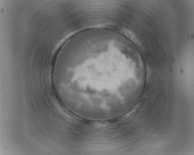 X0000075810346200610061737