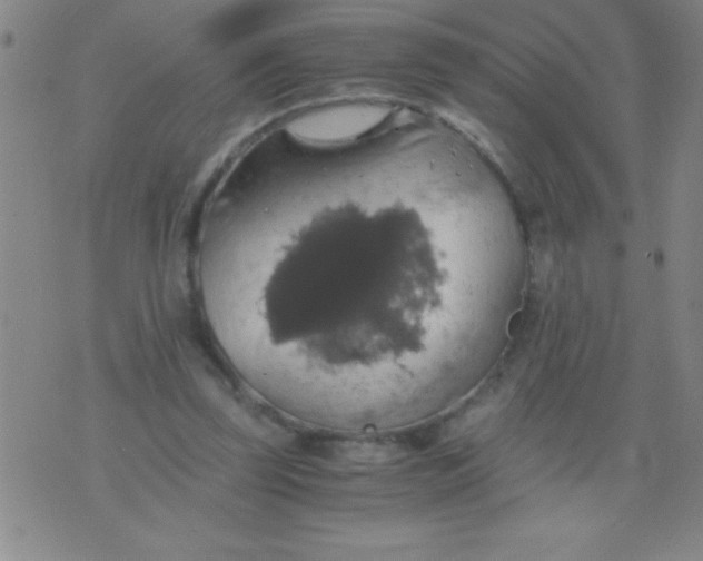 X0000075810347200610061737