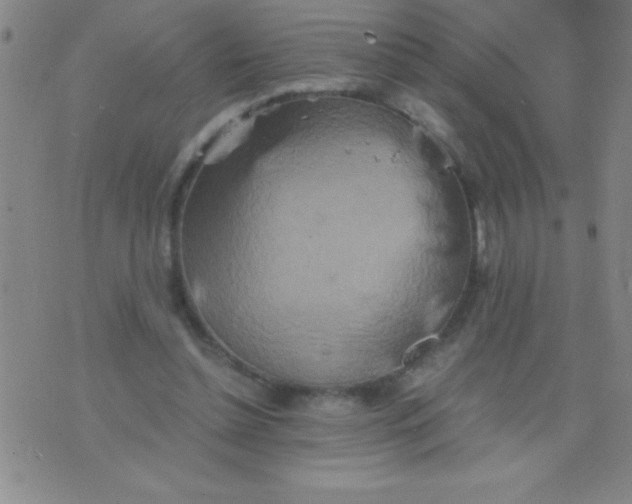 X0000075810348200610061737