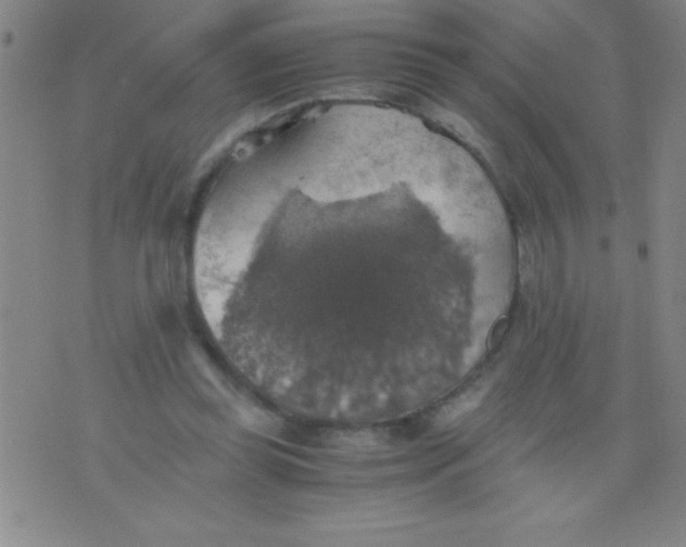 X0000075810349200610061737