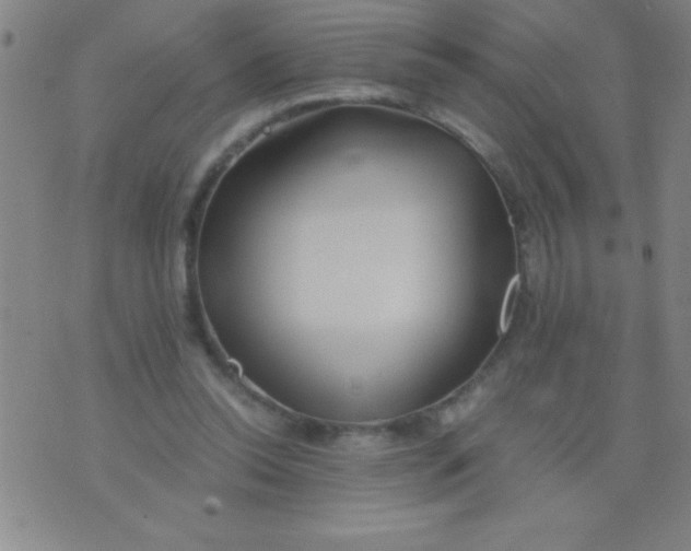 X0000075810350200610061737