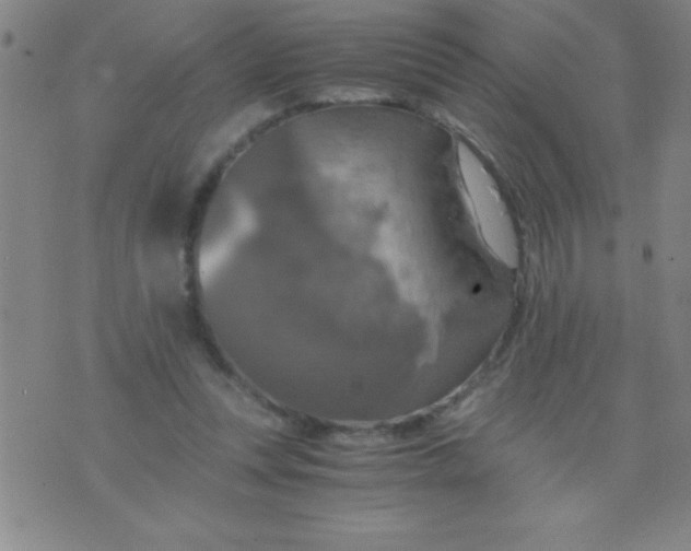 X0000075810351200610061737