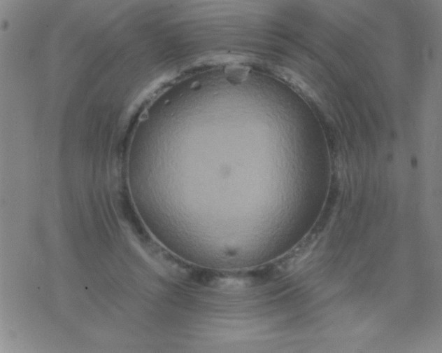 X0000075810352200610061737