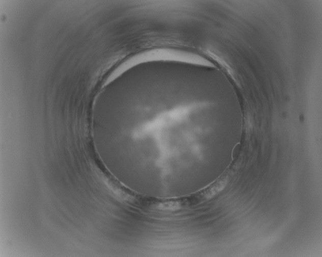 X0000075810353200610061737