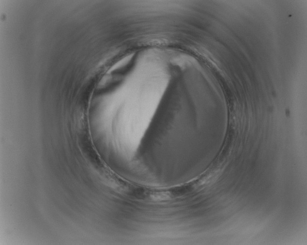 X0000075810355200610061737