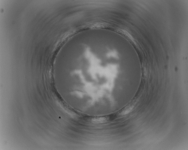 X0000075810357200610061737