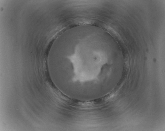 X0000075810359200610061737