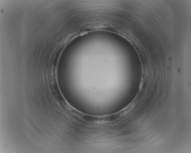 X0000075810360200610061737