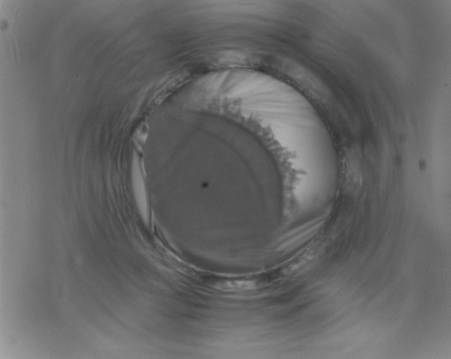 X0000075810361200610061737